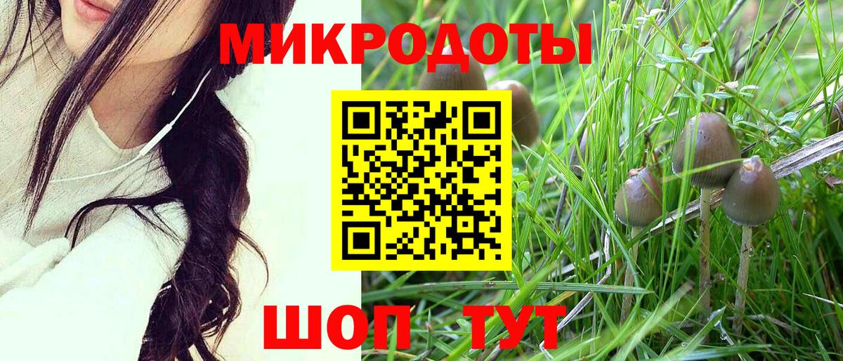 Железноводск  купить наркоту  Псилоцибиновые грибы MAGIC MUSHROOMS  Вход с VPN  Галлюциногенные грибы прущие грибы 